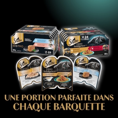 Nourriture humide pour chats adultes BISTRO PERFECT PORTIONS coupes en sauce en format variété – repas au poulet dans une sauce Alfredo et repas au saumon dans une sauce crémeuse, 12 barquettes de 75 g, 900 g