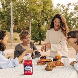 Allen's Cranberry Diet Beverage - 1.89 l | Provigo