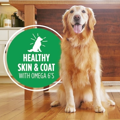 Proactive Health Adult Wet Dog Food, Chicken & Whole Grain Rice, Classic Ground