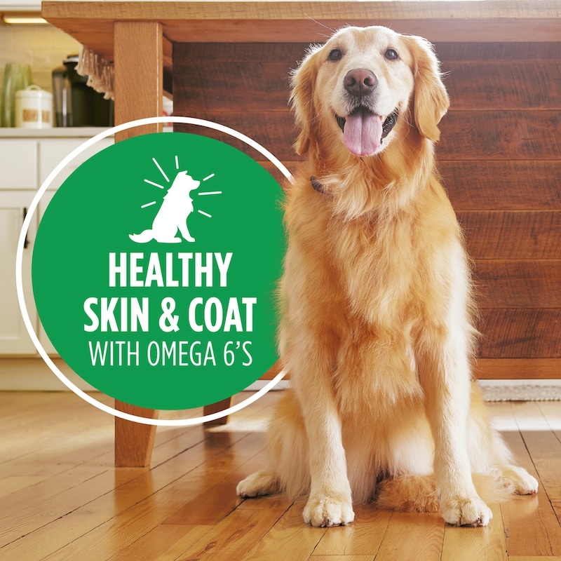 Proactive Health Adult Wet Dog Food, Chicken & Whole Grain Rice, Classic Ground