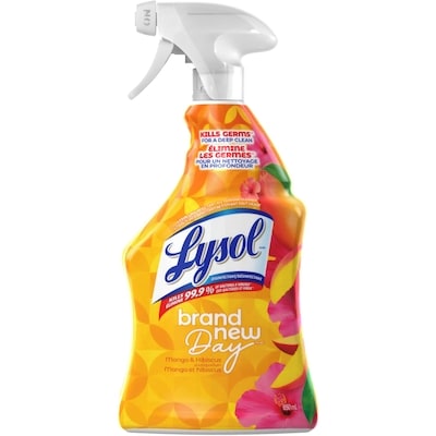 Lysol Desinfectant Nettoyant Tout Usages Mangue et Hibiscus 650 ml, 0,69 $/100ml