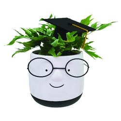 null Graduation Upgrade Planter 1 ea, $15.00/1ea