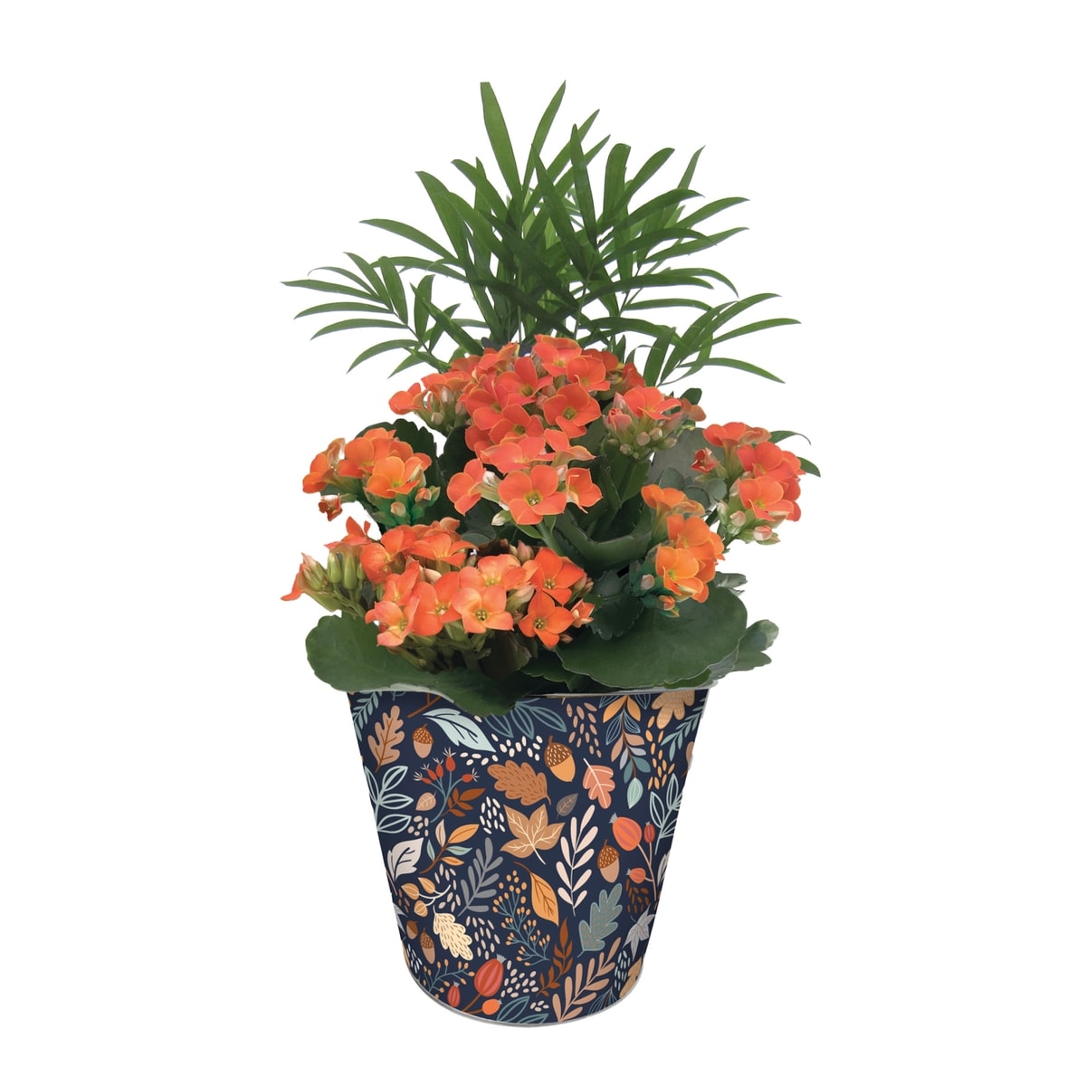 null Jardinière Jardin 1 ea, 20,00 $/1ch