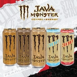 Java the Bad! Monster Java 300 Mocha - 444 ml | Zehrs