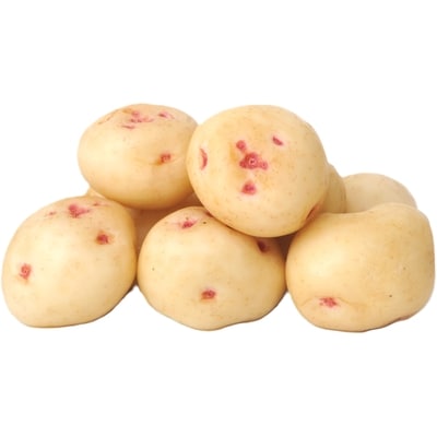 null Pommes de terre Warba 907 g, 0,55 $/100g