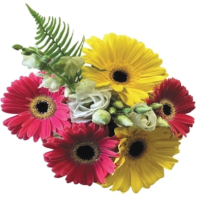 null Bouquet varié de la ferme à la table 1 ea, 10,00 $/1ch