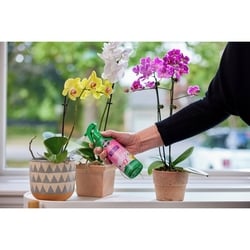 Miracle Gro Orchid Plant Food - 236 ml | Your Independent Grocer