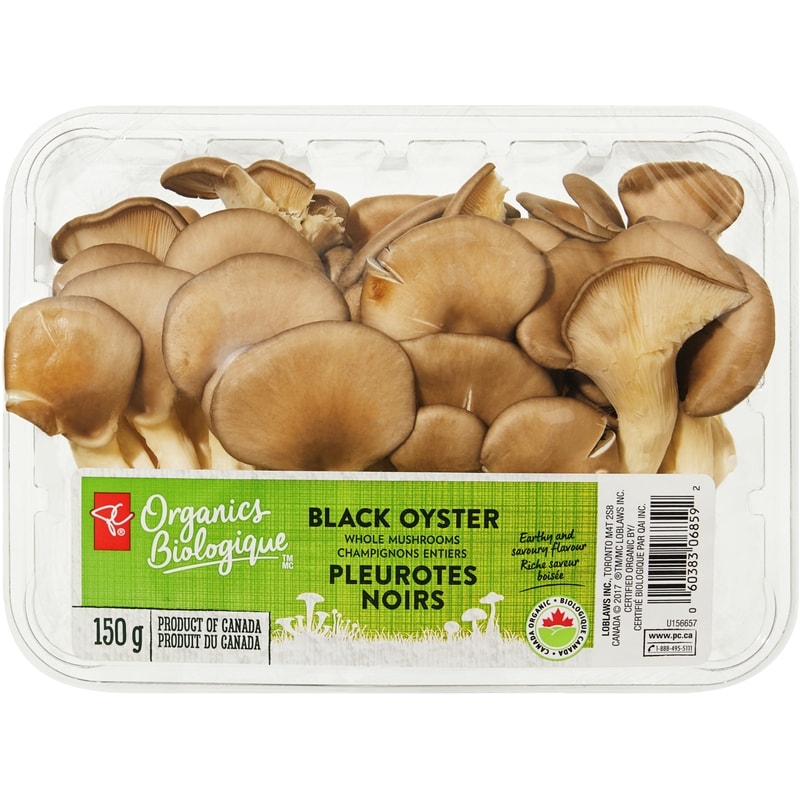 mushroom　0805 21548171_enfr_front_v1_800.png