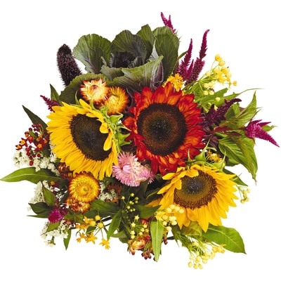 null Fall Harvest Bouquet 1 ea, $14.00/1ea