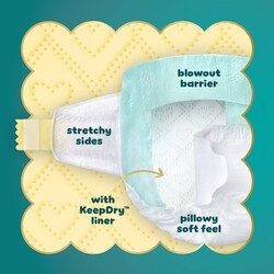 Pampers Swaddlers Active Baby Diaper Size 8 38 Count - 38 ea | Zehrs