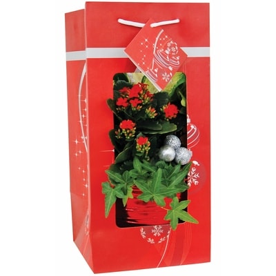 null Holiday Garden Gift Bag 1 ea, $22.00/1ea