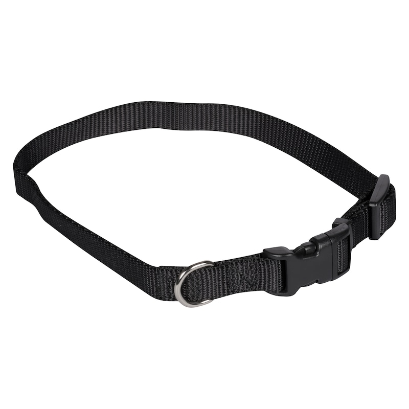 Pet Attire Adjustable Collar S/M