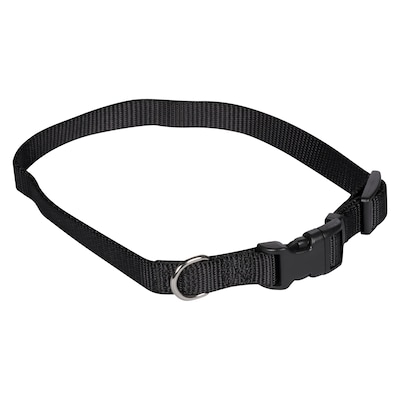 Coastal Pet attire collier ajustable s/m 1 ea, 8,49 $/1ch