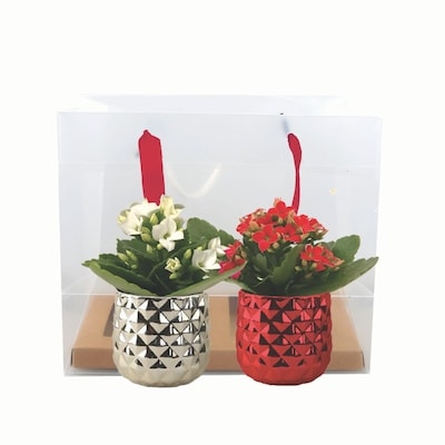 null Empaquetage cadeau saisonnier, paquet de 2 1 ea, 21,00 $/1ch