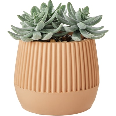 Life at Home Faux Succulent with Cement Pot 1 ea, $10.00/1ea