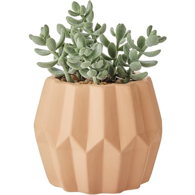Life at Home Faux Succulent with Cement Pot 1 ea, $10.00/1ea