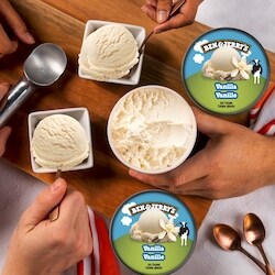 Ben & Jerry's Ice Cream with Fairtrade Ingredients Vanilla - 473