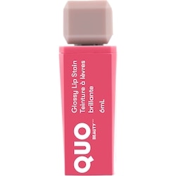 Glossy Lip Stain Spicy