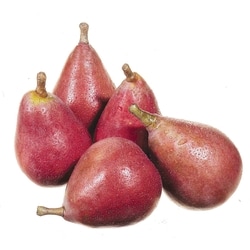 null Pears Red Starkrimson $6.59/1kg $2.99/1lb