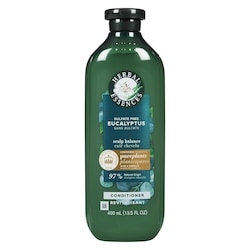 Eucalyptus Sulfate Free Conditioner, Scalp Balance, with Certified Camellia Oil and Aloe Vera, For All Hair Types, Especially with Dry Scalp