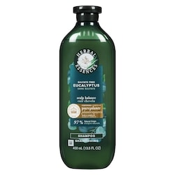 Eucalyptus Sulfate Free Shampoo, Scalp Balance, with Certified Camellia Oil and Aloe Vera, For All Hair Types, Especially with Dry Scalp