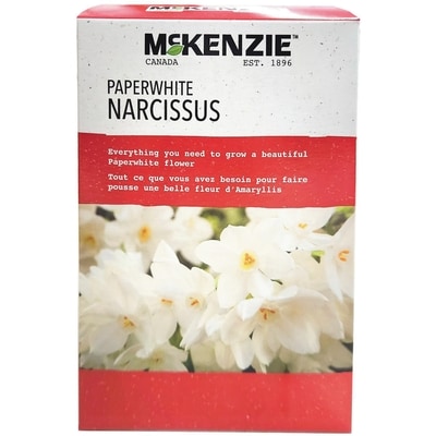 null Trousse de bricolage d’amaryllis Paperwhites 1 ea, 14,99 $/1ch