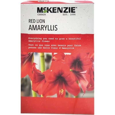 null Trousse de bricolage d’amaryllis Red Lion 1 ea, 14,99 $/1ch