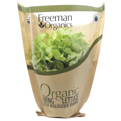 null Organic Green Lettuce Potted 1 ea, $4.99/1ea