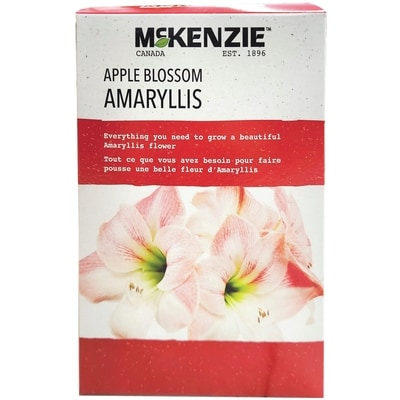 null Amaryllis DIY Kit Apple Blossom 1 ea, $14.99/1ea