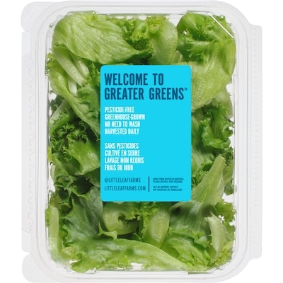 Baby Crispy Green Leaf