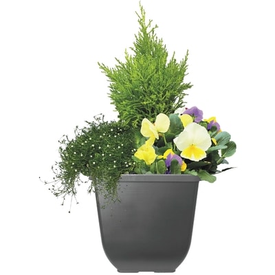 President's Choice Early Spring Planter 1 ea, $25.00/1ea