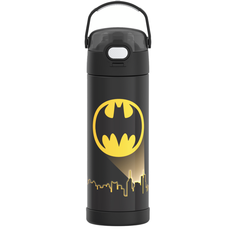 Stainless Steel Vacuum Insulated Hydration Bottle With Bail Handle - Batman
