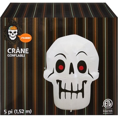null Crâne gonflable de 5 pieds 1 ea, 49,00 $/1ch