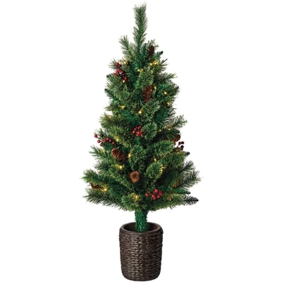 Life at Home Fortune Lake Potted Porch Tree 1 ea, $69.00/1ea