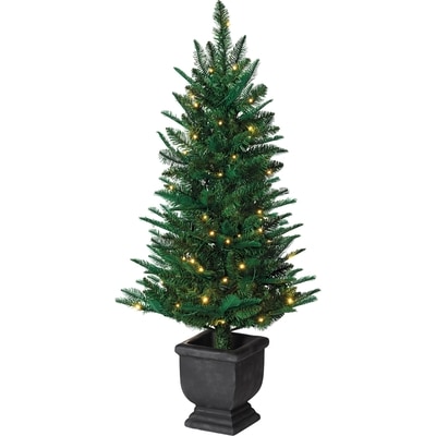 Life at Home Fir Lake Potted Porch Tree 1 ea, $69.00/1ea