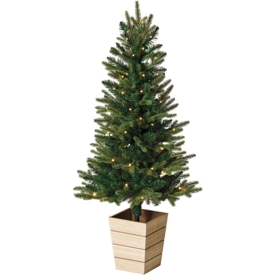 Life at Home Deer Lake Potted Porch Tree 1 ea, $69.00/1ea
