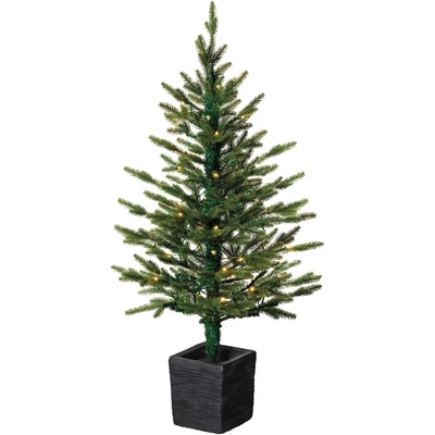 Life at Home Fawn Lake Potted Porch Tree 1 ea, $69.00/1ea