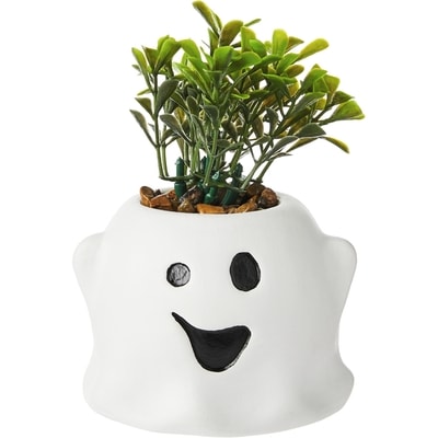 null Faux Succulent - Ghost 1 ea, $7.00/1ea