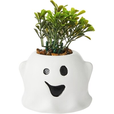 null Succulente artificielle – fantôme 1 ea, 7,00 $/1ch