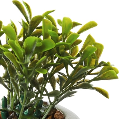Succulente artificielle – fantôme