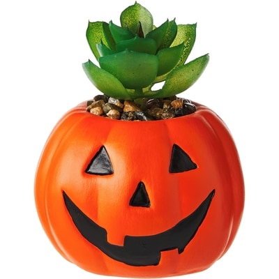 null Succulente artificielle – citrouille 1 ea, 7,00 $/1ch