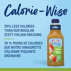 Calorie-Wise Zesty Italian Salad Dressing