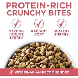 Purina ONE +Plus Indoor Advantage Salmon, Dry Cat Food - 1.8 kg