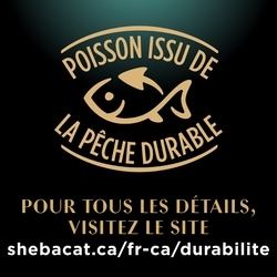 Sheba Nourriture humide pour chatons PERFECT PORTIONS pâté tendre – repas délicat au saumon, barquette de 75 g 75 g, 2,39 $/100g