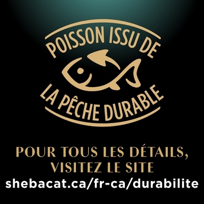 Sheba Nourriture humide pour chatons PERFECT PORTIONS pâté tendre – repas délicat au saumon, barquette de 75 g 75 g, 2,39 $/100g
