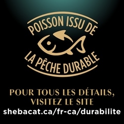 Sheba Nourriture humide pour chatons PERFECT PORTIONS pâté tendre – repas délicat au saumon 75 g, 2,39 $/100g