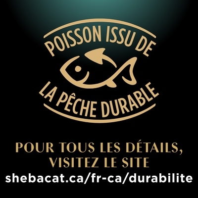 Sheba Nourriture humide pour chatons PERFECT PORTIONS pâté tendre – repas délicat au saumon 75 g, 2,39 $/100g