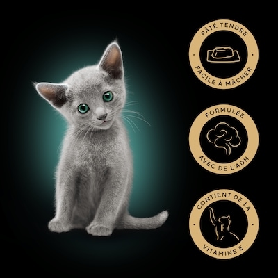 Nourriture humide pour chatons PERFECT PORTIONS pâté tendre – repas délicat au saumon, barquette de 75 g