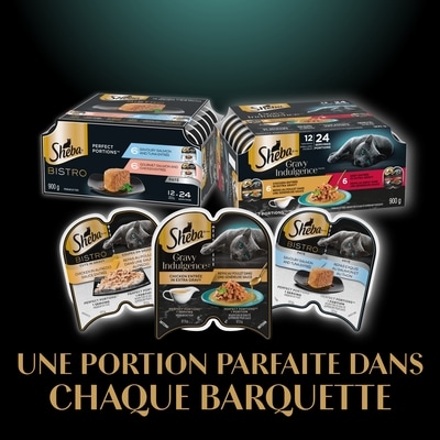 Nourriture humide pour chatons PERFECT PORTIONS pâté tendre – repas délicat au saumon, barquette de 75 g