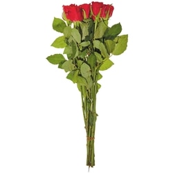 null Roses 9-Stem 1 ea, $10.00/1ea